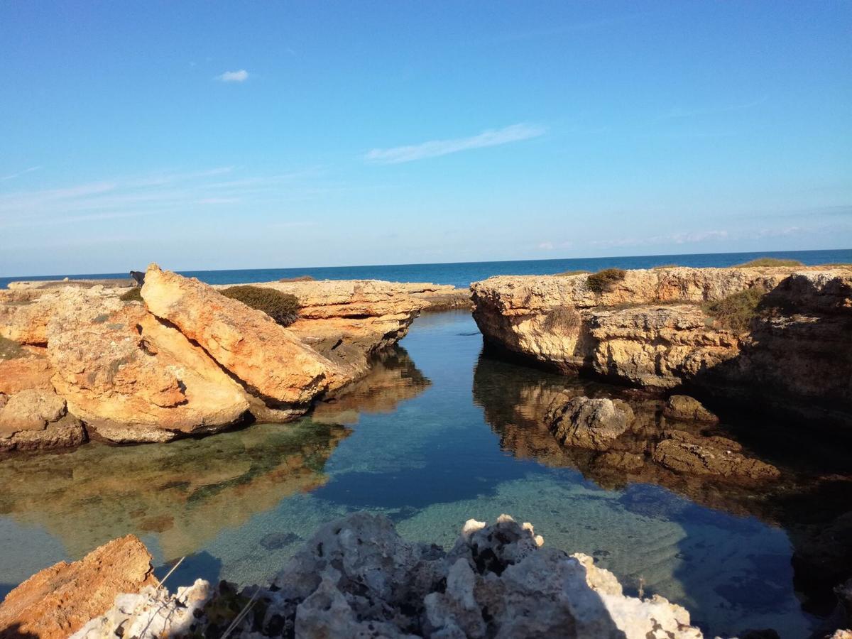 La Dimora Salento Acomodação com café da manhã Carovigno Exterior foto